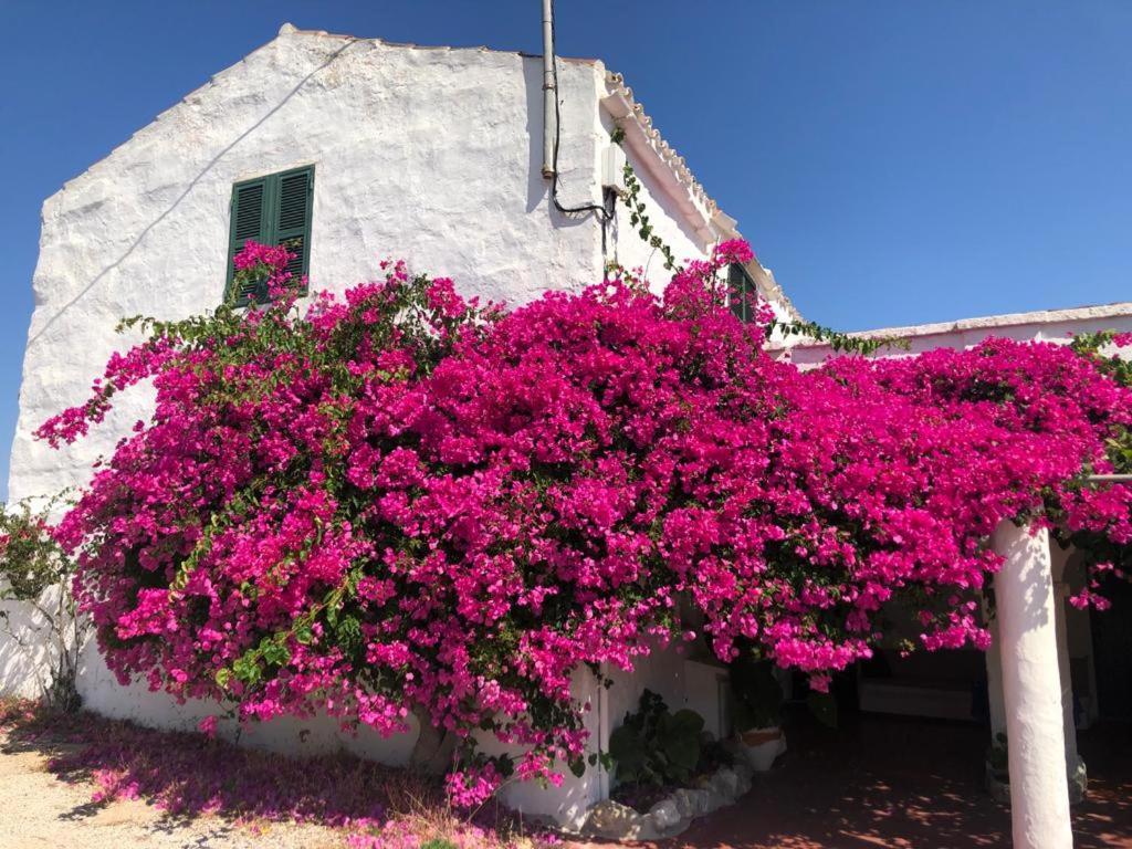 Agroturisme Binisaid Nou Cala Galdana  Exterior photo
